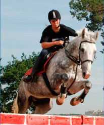 ГБОУ ДОУ КО СДЮСШОР по конному спорту - обучение и тренировки в Москве